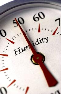 home dehumidification system, Boston, Northbridge MA
